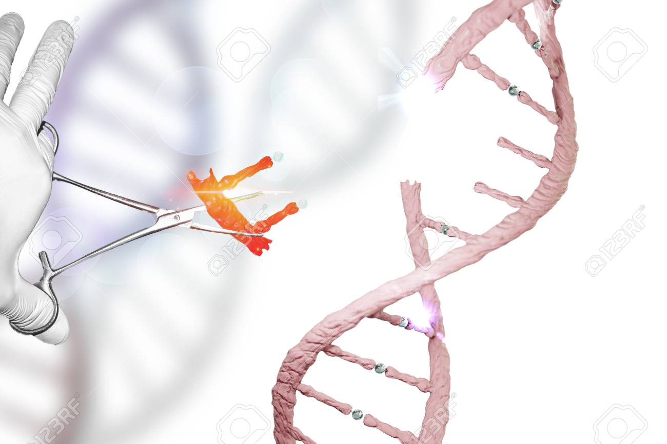 Gene Therapy and Genome Editing Photo